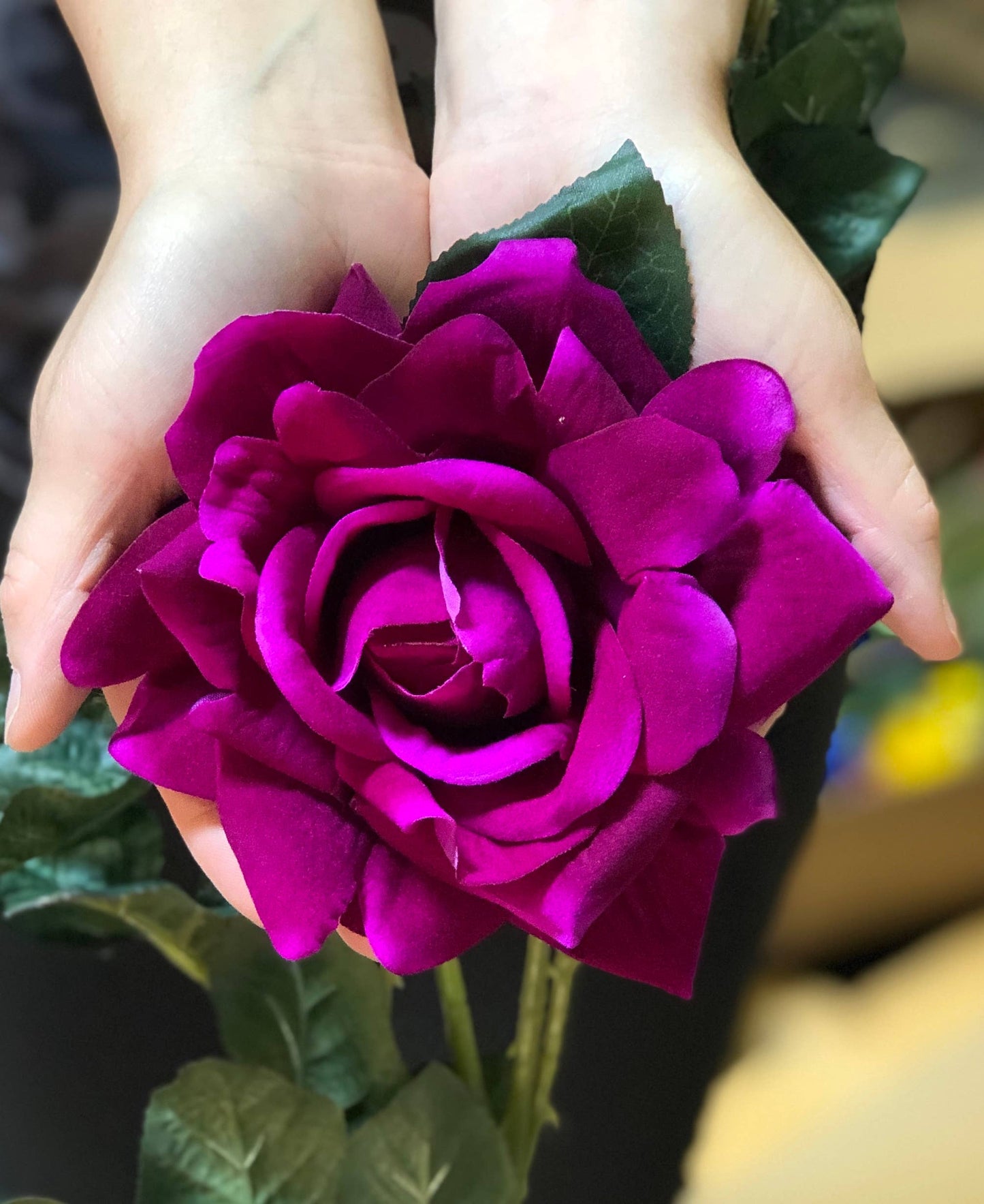 32"-Large Bloom Elegant Rose Stem-2 Flowers 1 Bud