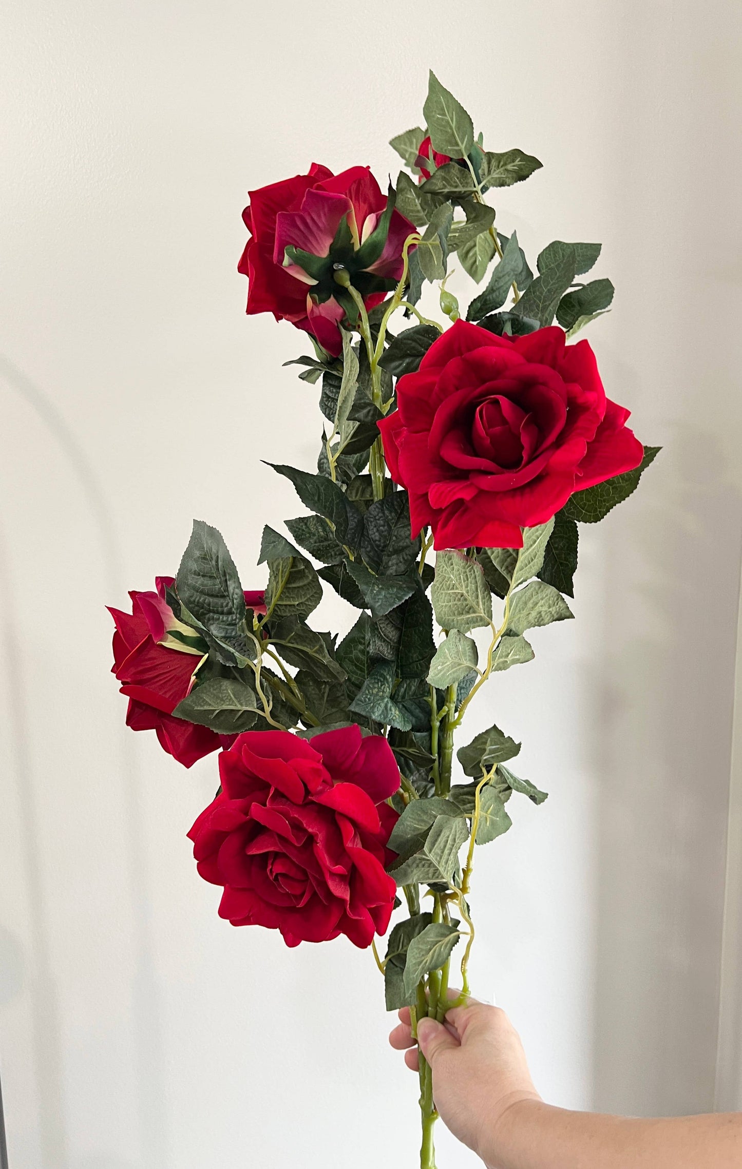 32"-Large Bloom Elegant Rose Stem-2 Flowers 1 Bud