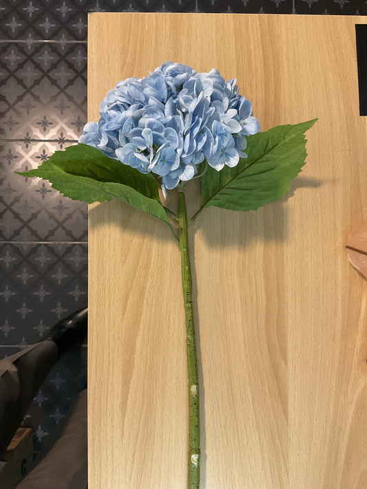 Baby blue hydrangea stems