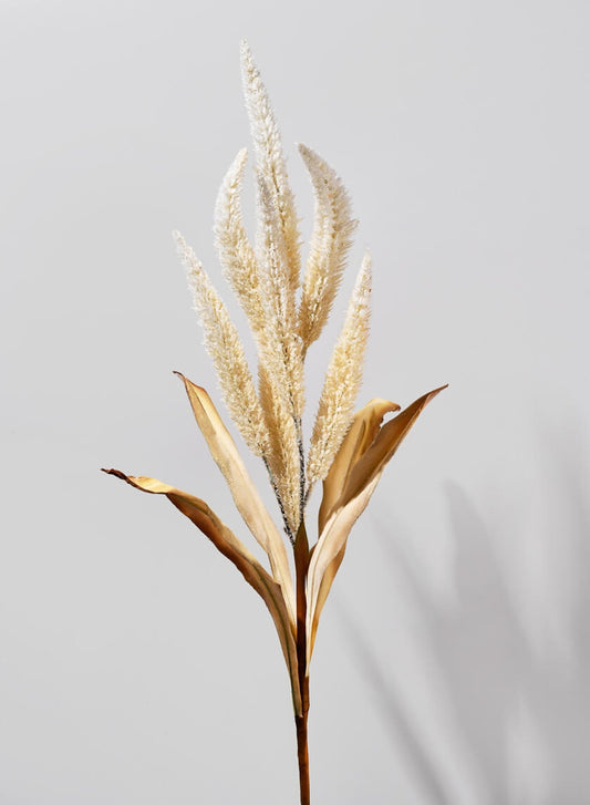 Beige Amaranth Reed 35"