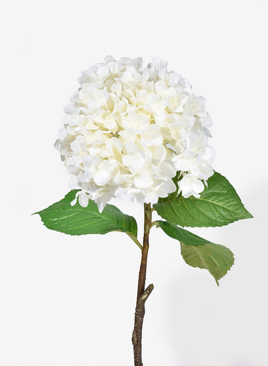 White Hydrangea Spray