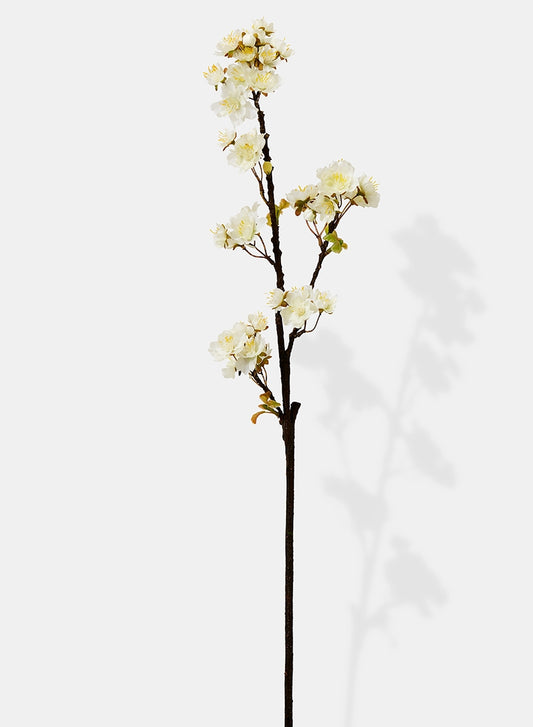 White Quince Spray